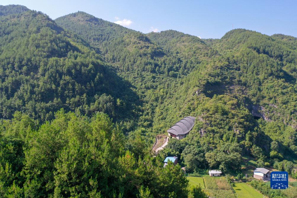 破解老虎机苹果机程序